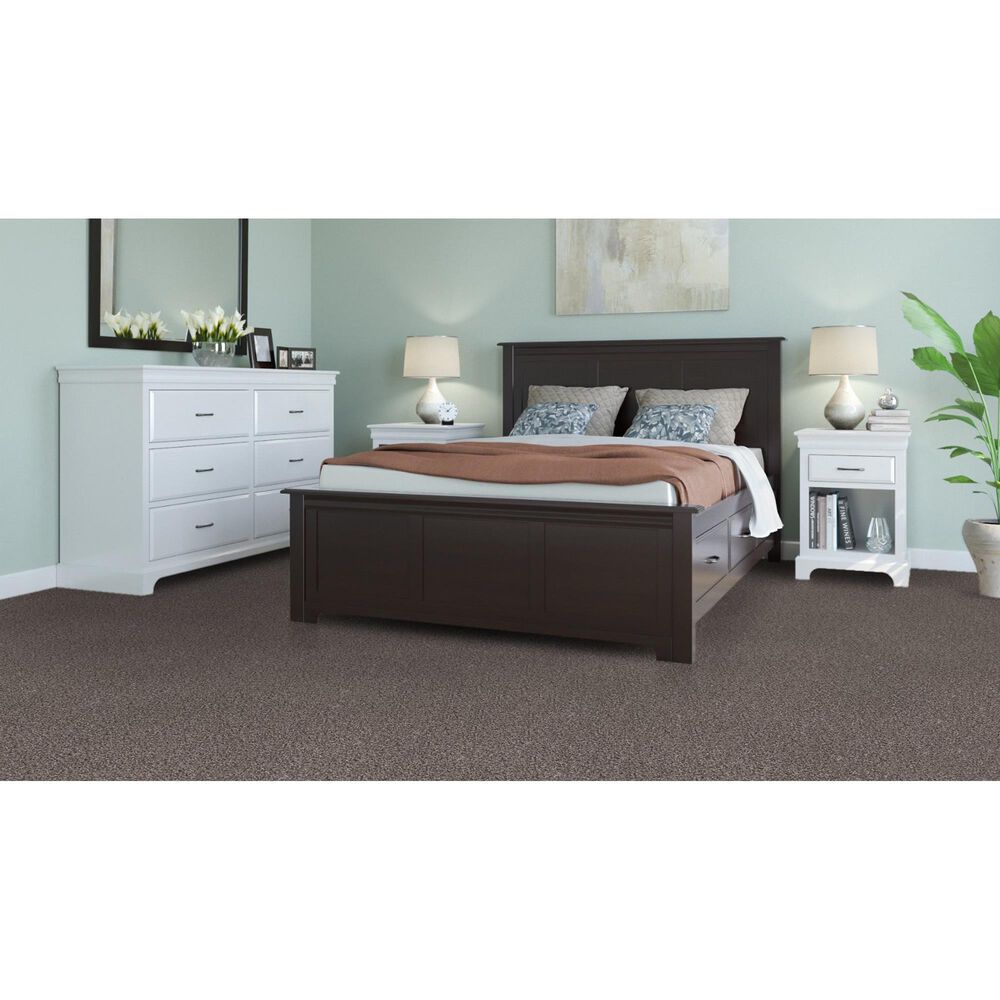 Dream Weaver Trendsetter II Carpet in Sageview, , large