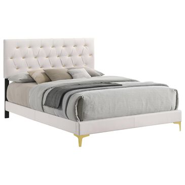 Pacific Landing Kendall Queen Upholstered Bed in White, , large