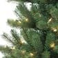 The Gerson Company 7.5" Montgomery Pine Artificial Christmas Tree with Clear Lights in Green, , large