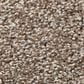 Shaw Balanced Carpet in Brown Sugar, , large