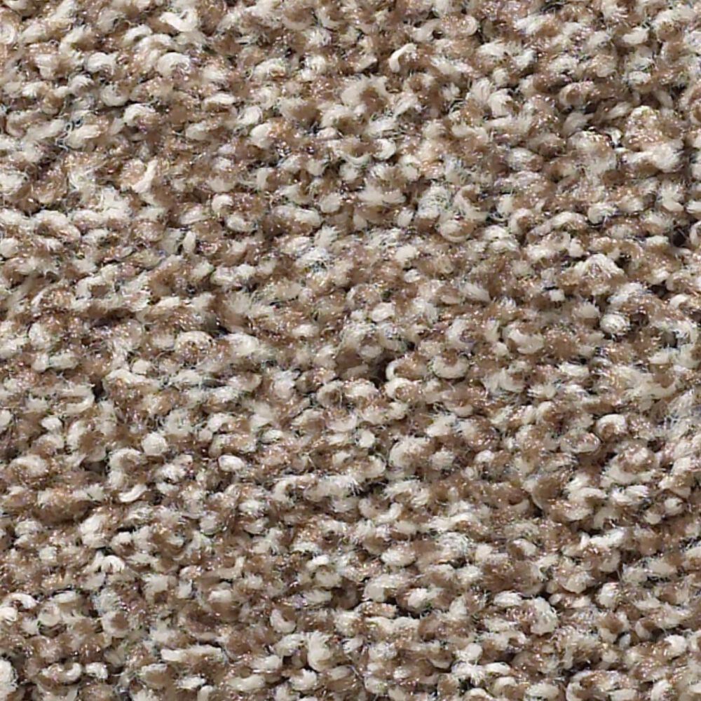 Shaw Balanced Carpet in Brown Sugar, , large