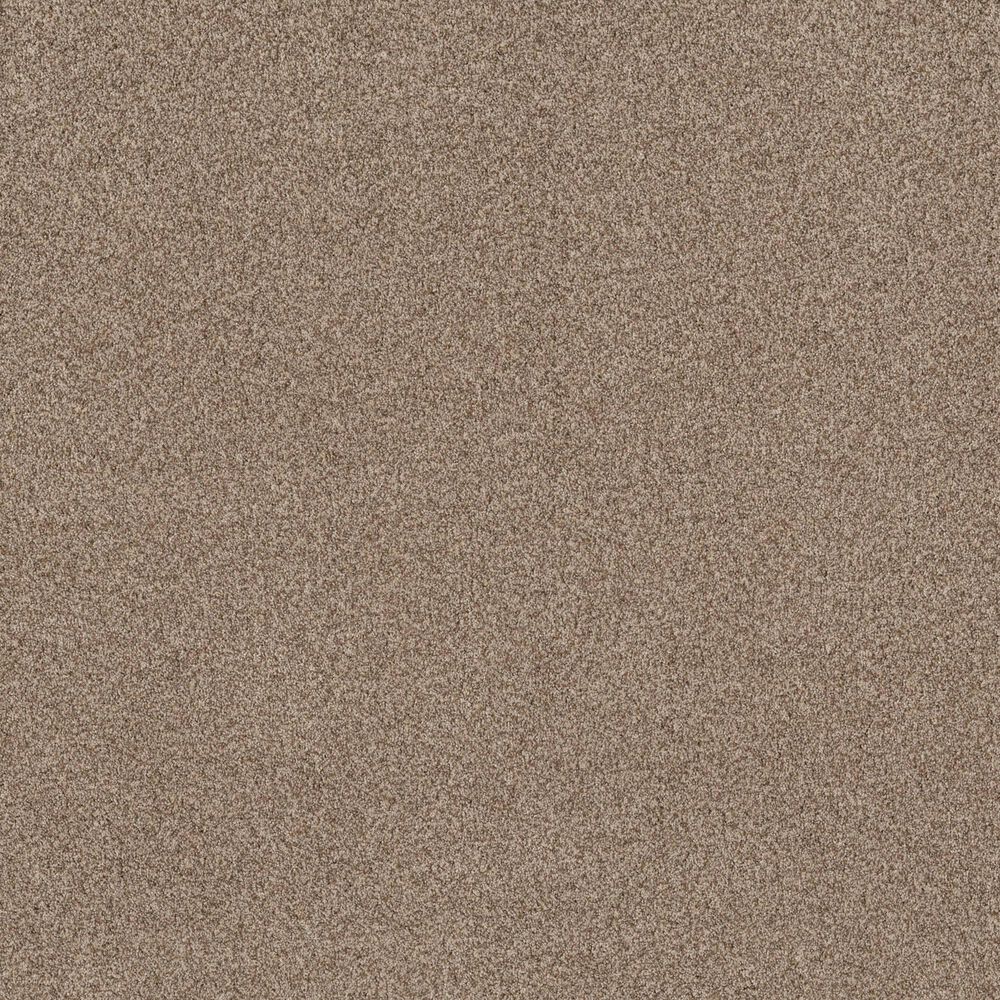 Anderson Tuftex Terra Nova Carpet in Nutshell, , large