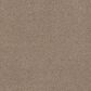 Anderson Tuftex Terra Nova Carpet in Nutshell, , large