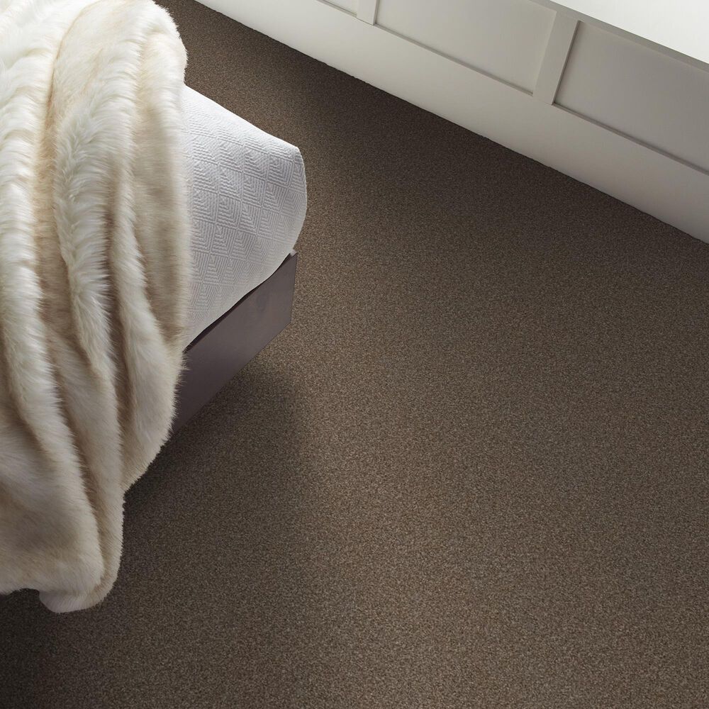 Shaw Truspirit Ii Carpet in Chestnut, , large