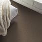 Shaw Truspirit Ii Carpet in Chestnut, , large