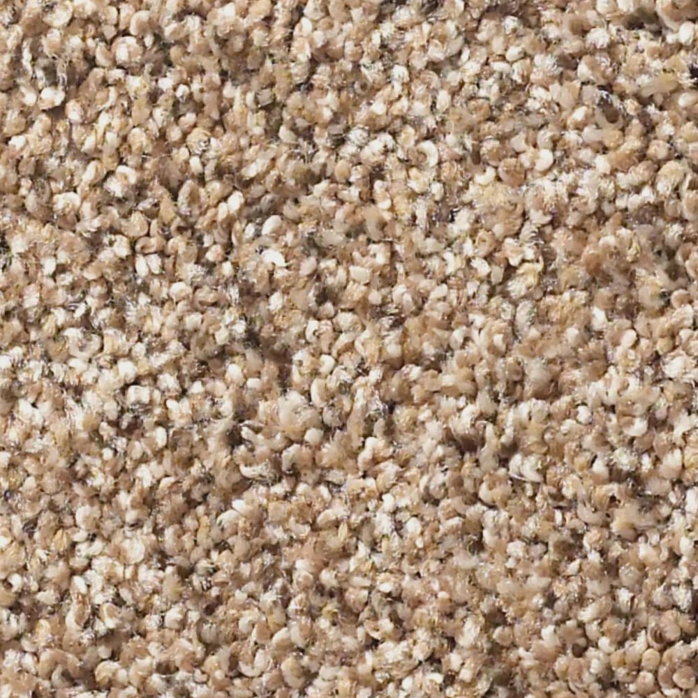 Shaw Abilene II Carpet in Arrowhead, , large