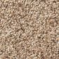 Shaw Abilene II Carpet in Arrowhead, , large