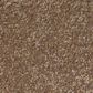 Shaw Luxuriant Carpet in Dinosaur, , large