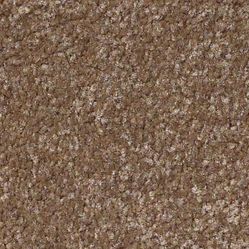 Shaw Luxuriant Carpet in Dinosaur, , large