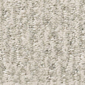 Anderson Tuftex Fur-Ever Carpet in Bennington, , large