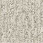 Anderson Tuftex Fur-Ever Carpet in Bennington, , large