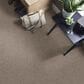 Shaw Mixed Essentials Carpet in Baltic Stone, , large
