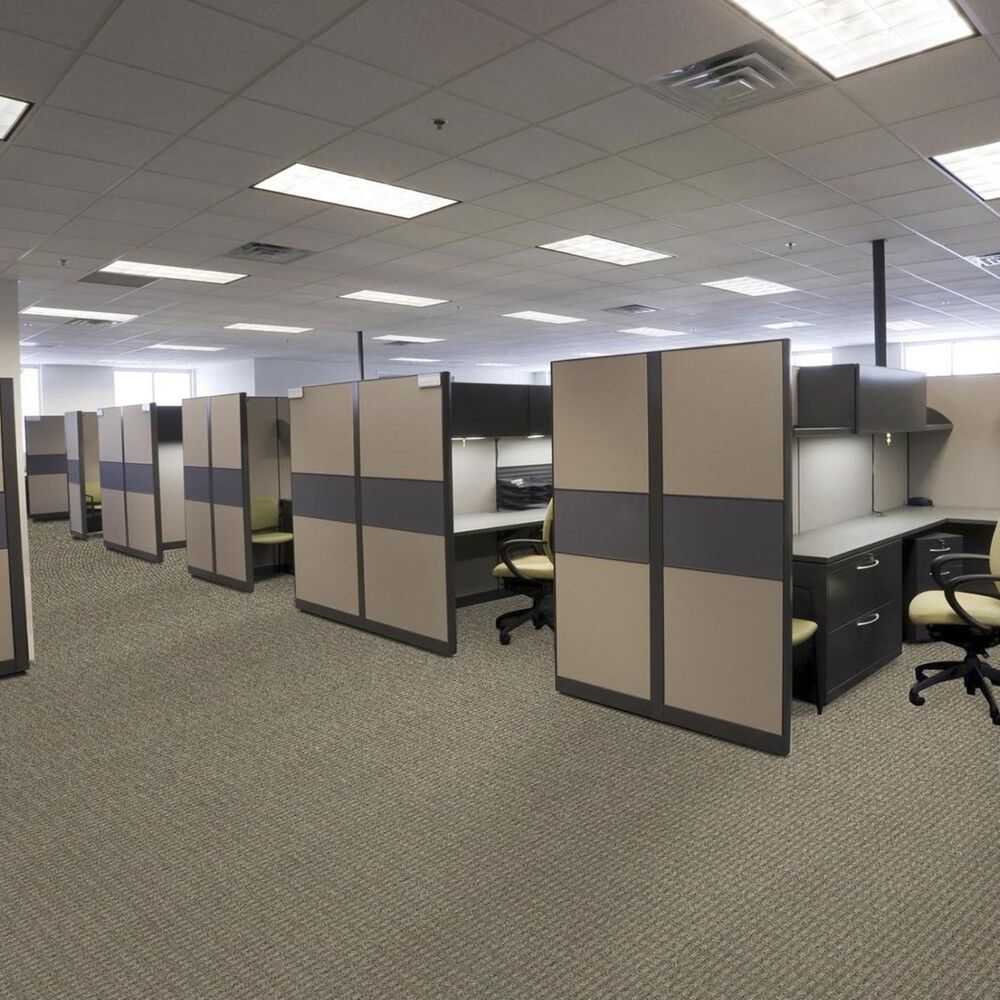 Shaw Fair Shake Carpet in Integrity, , large