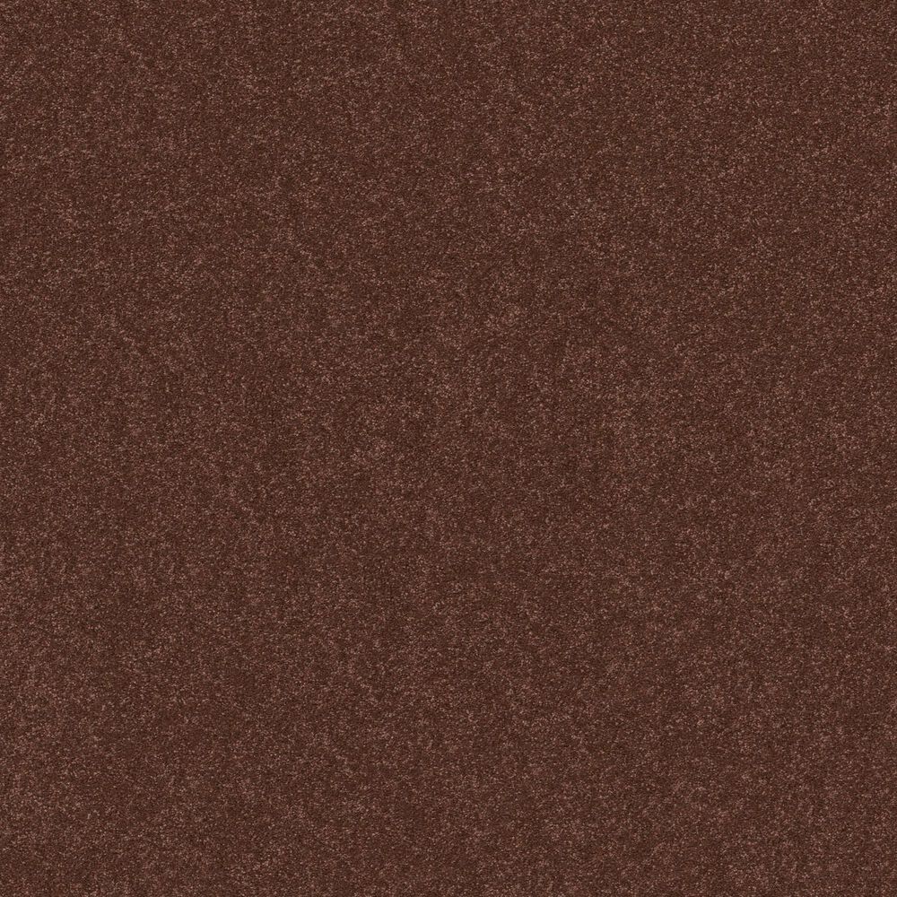 Shaw Hard At Play II Carpet in Orange Oxide, , large