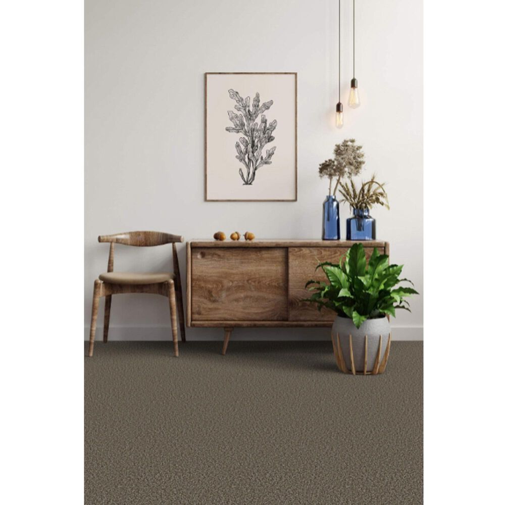 Dixie Home Main Force Carpet in Boulder, , large
