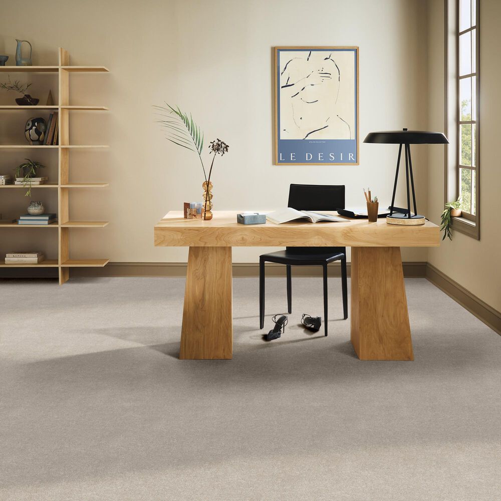 Philadelphia Delicate Feel I Carpet in Chic Taupe, , large