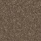Anderson Tuftex Enduring Charm Carpet in Carafe, , large