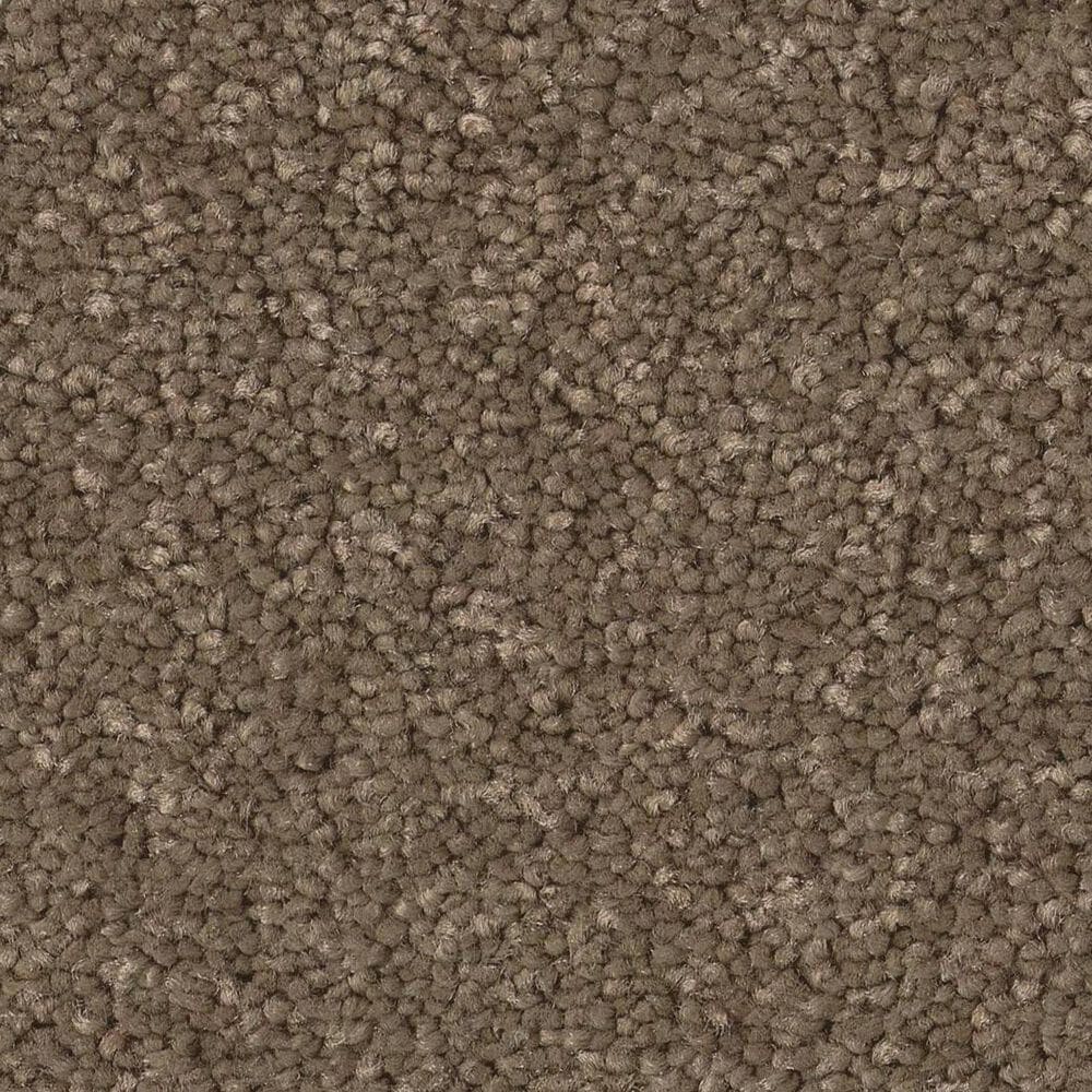 Anderson Tuftex Enduring Charm Carpet in Carafe, , large