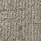 Anderson Tuftex Wanderer Carpet in Horizon, , large