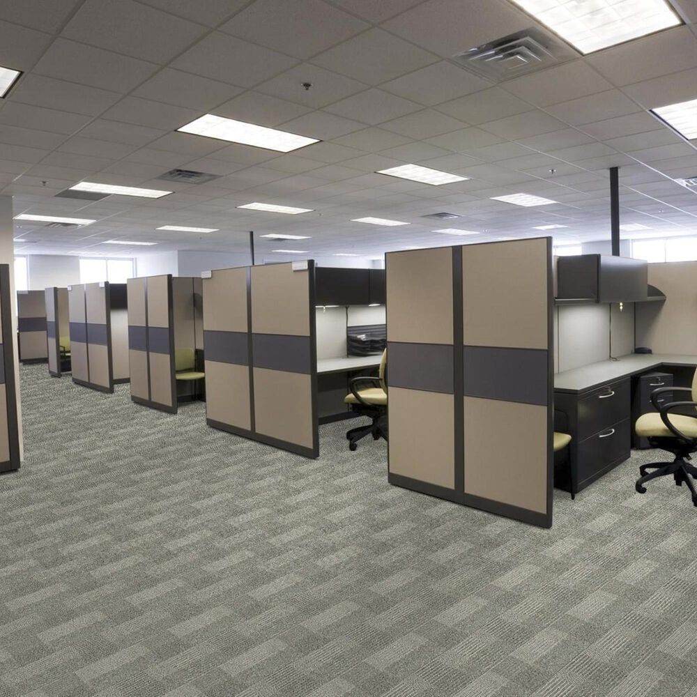 Shaw Square Deal Carpet in Honorable, , large
