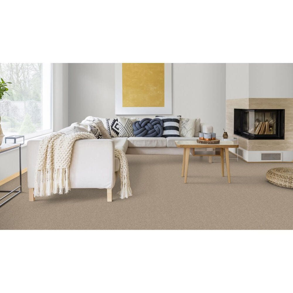 Dixie Home Bella Carpet in Shar-Pei, , large