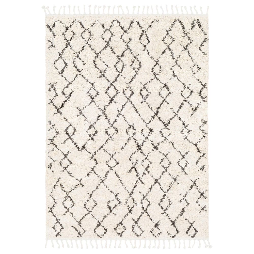 Surya Berber Shag BBE2301 6"7" x 9" Charcoal and Beige Area Rug, , large