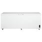 Frigidaire 24.8  Cu. Ft. FFCL2542AW Chest Freezer in White, , large