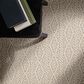 Anderson Tuftex Crochet Carpet in Travertine, , large