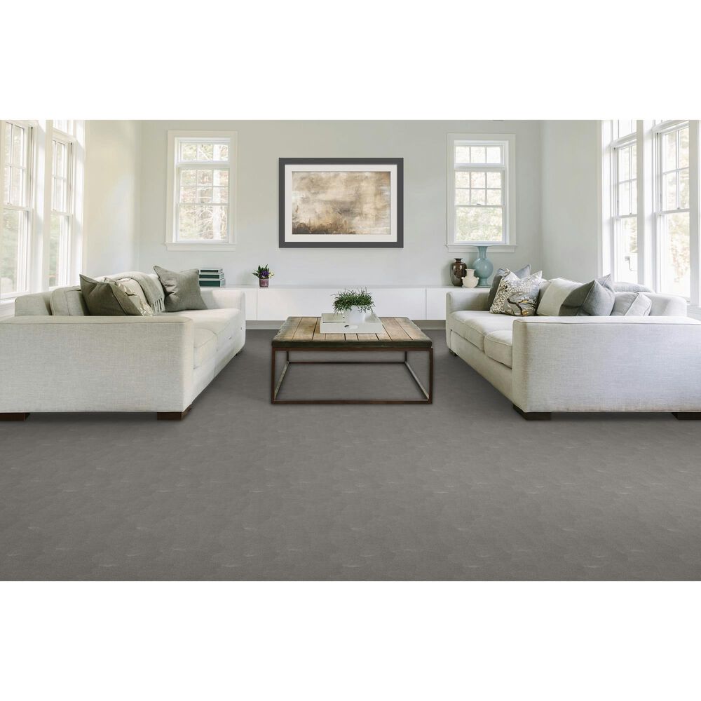 Mohawk Luxuriant Feel Carpet in Highgate, , large
