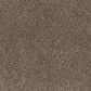Dixie Home Perfect Summer Carpet in Ranch, , large