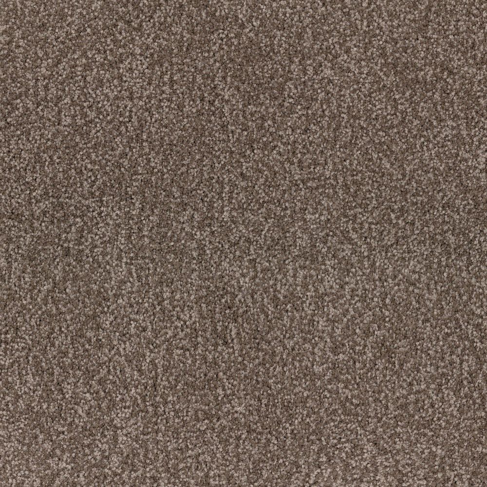 Dixie Home Perfect Summer Carpet in Ranch, , large