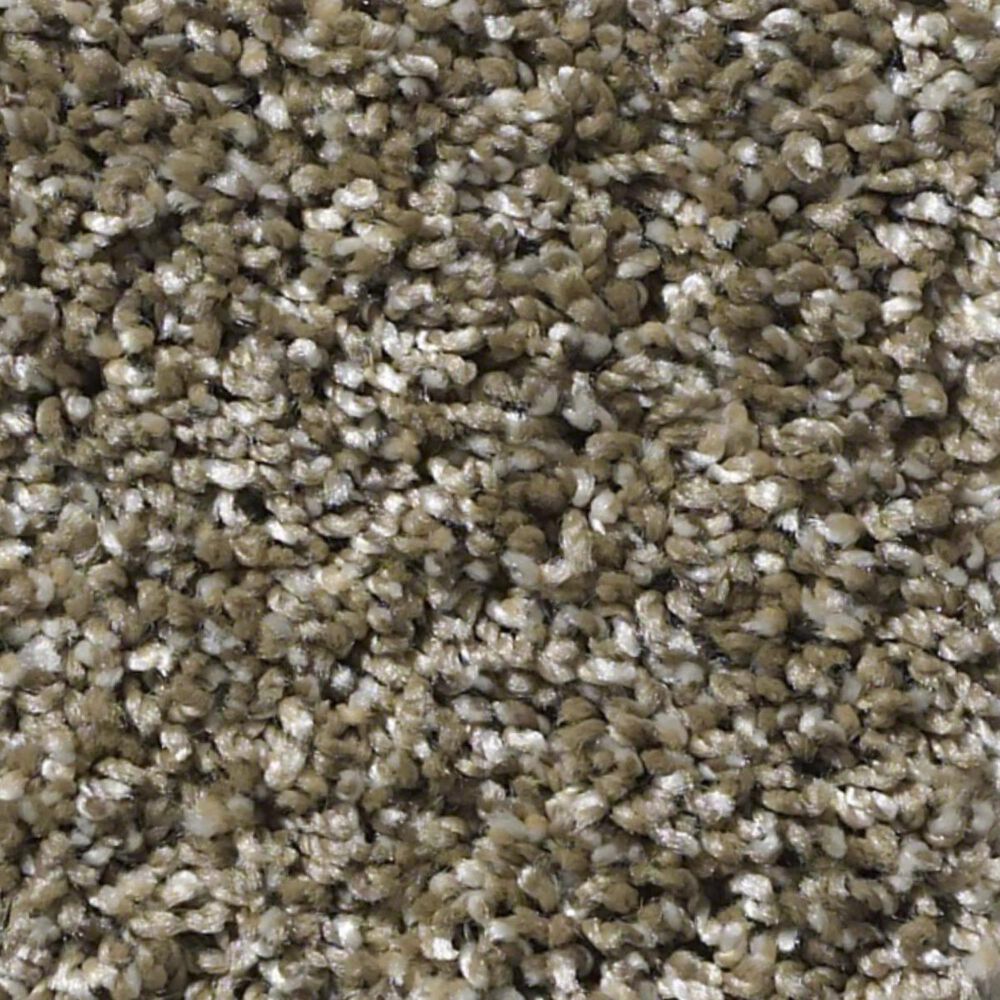 Shaw Frosting Net Carpet in Dirt Road, , large