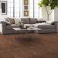 Anderson Tuftex Insightful Journey Carpet in Sunbaked, , large