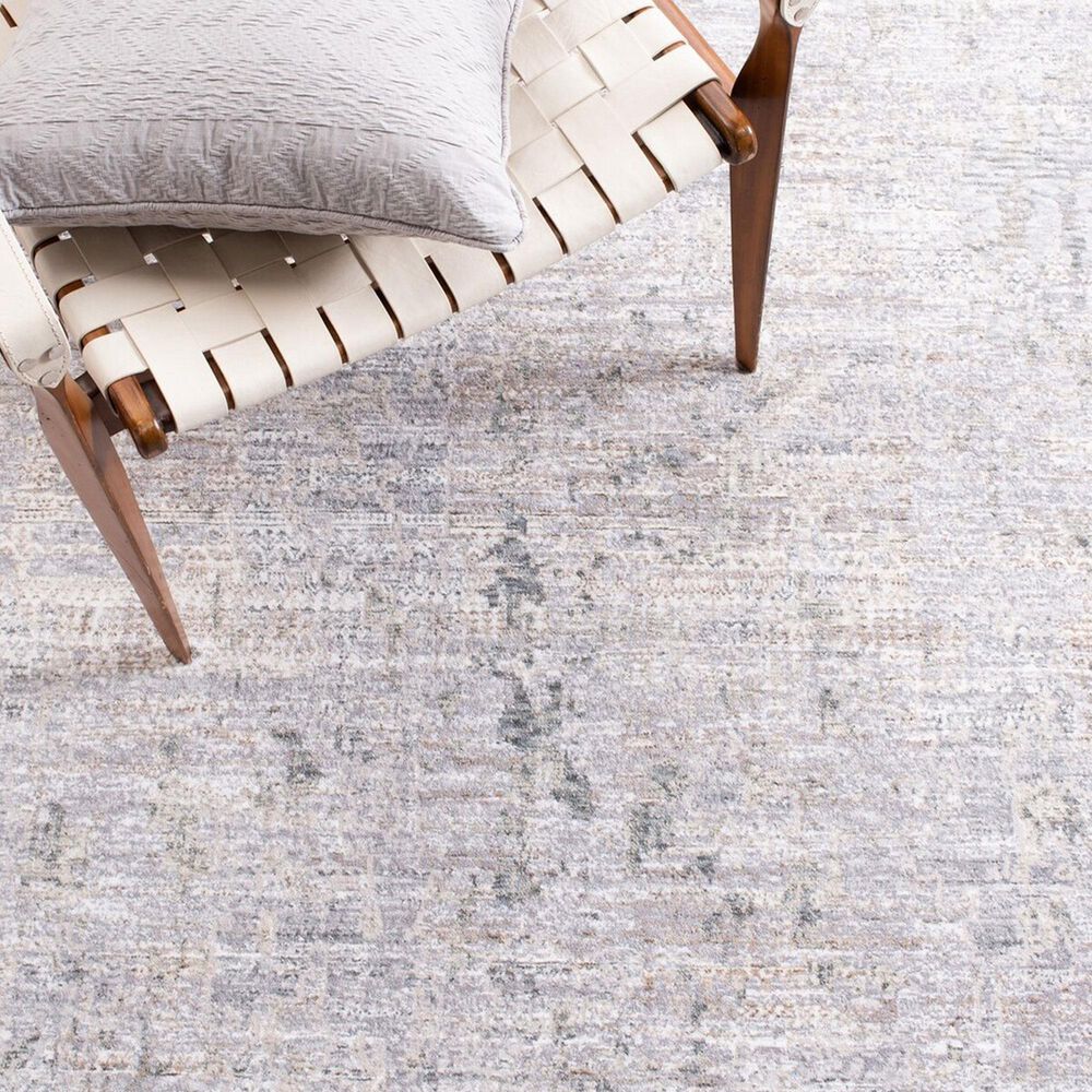 Safavieh Webster WBS330G 4&#39; x 6&#39; Grey and Beige Area Rug, , large