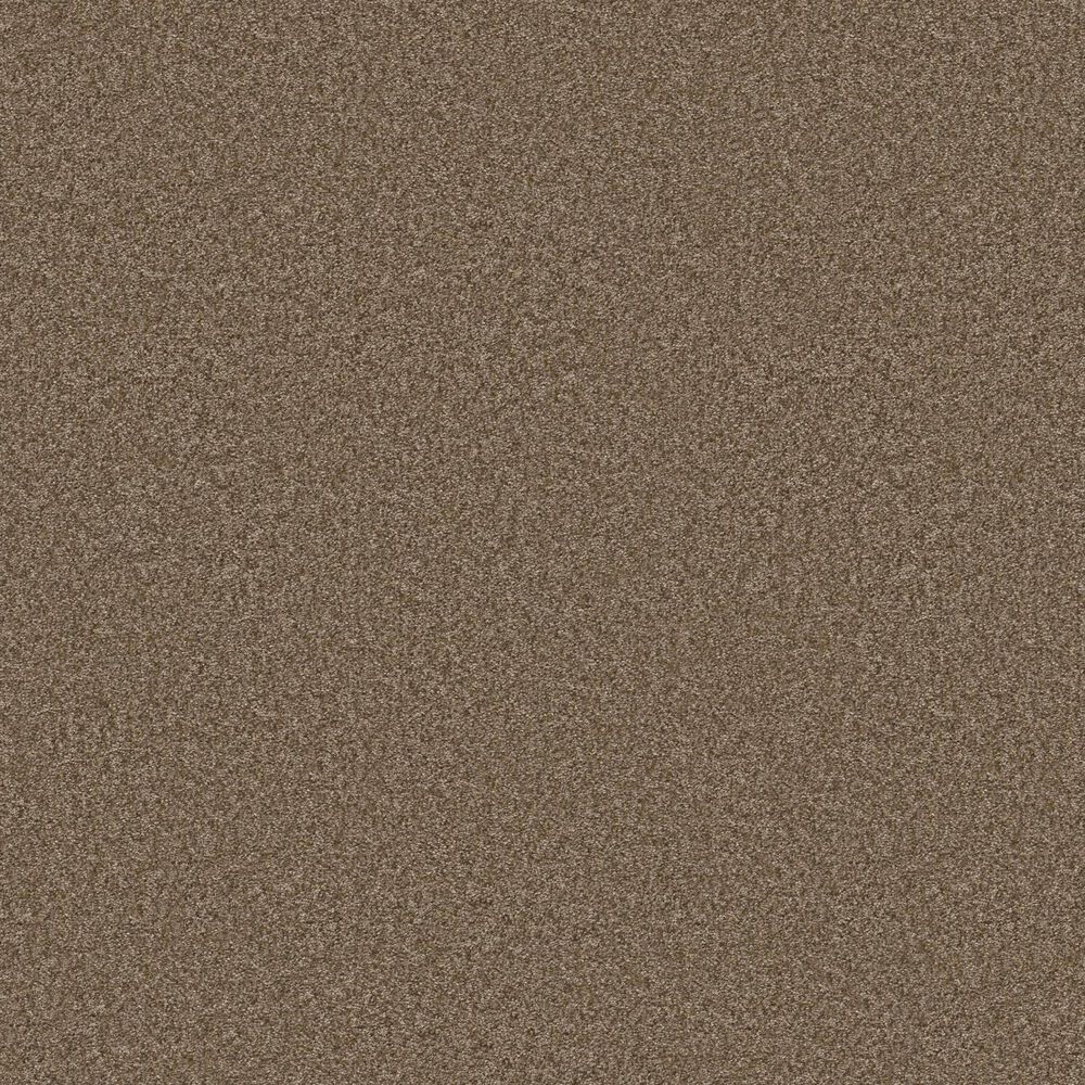 Shaw You Got This II Carpet in Mission Ridge, , large