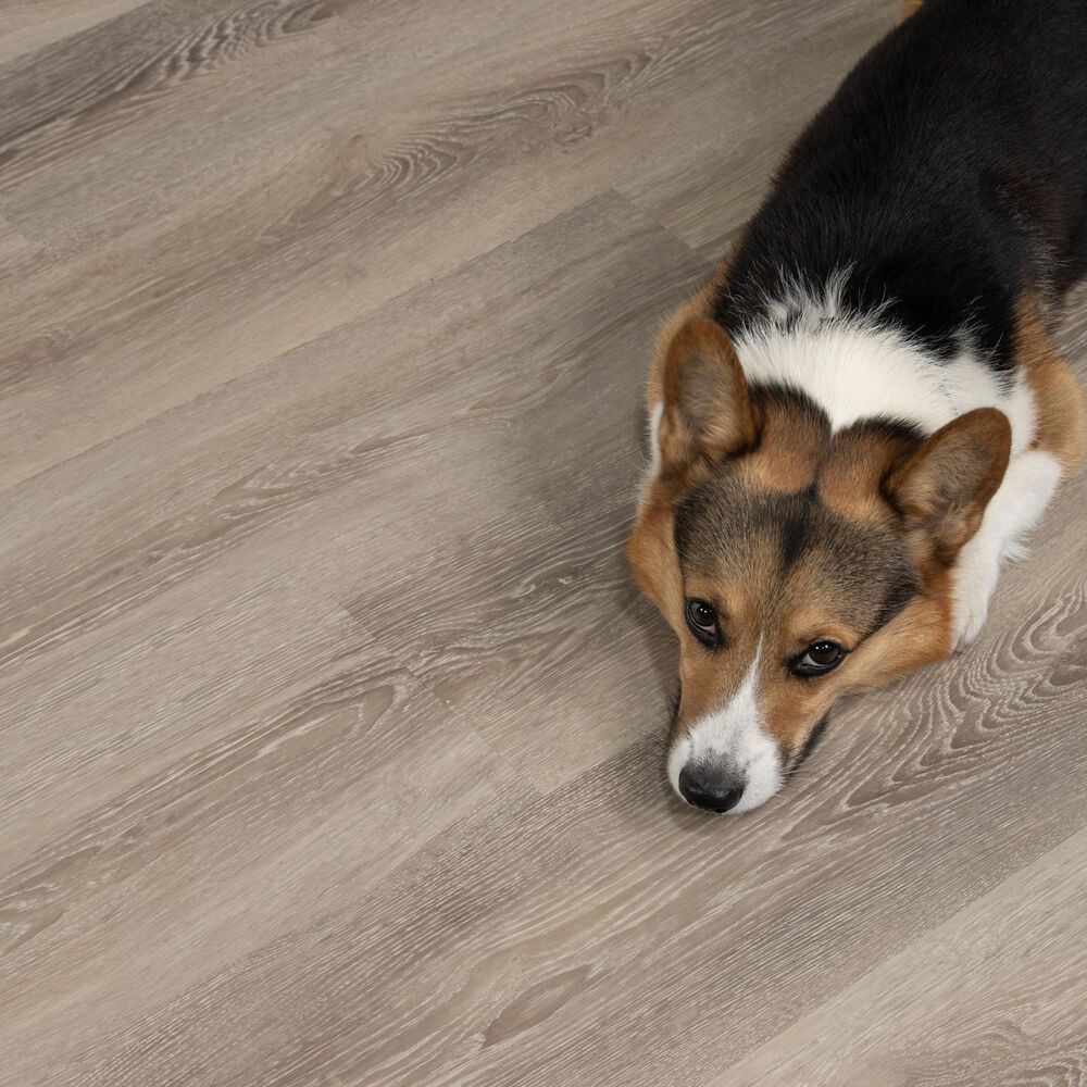 Cali Flooring Laid Back Bird Rock Ridge 7" x 48" Luxury Vinyl Plank, , large