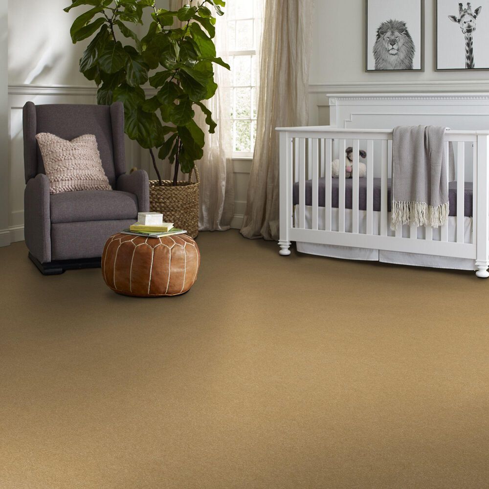 Shaw Hard At Play Iii Carpet in Honeycomb, , large