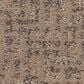 Anderson Tuftex Caboodle Carpet in Camelback, , large