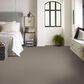 Shaw Always Right II Carpet in Cottage, , large