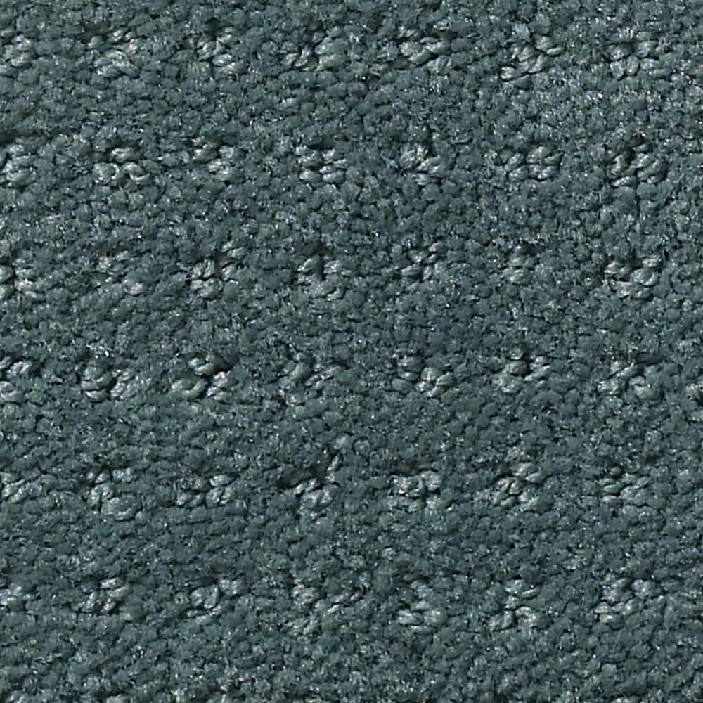Shaw Foundations Alluring Disposition Carpet in Oceanside, , large