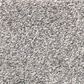 Shaw Find Your Comfort TT I Carpet in Whisper, , large