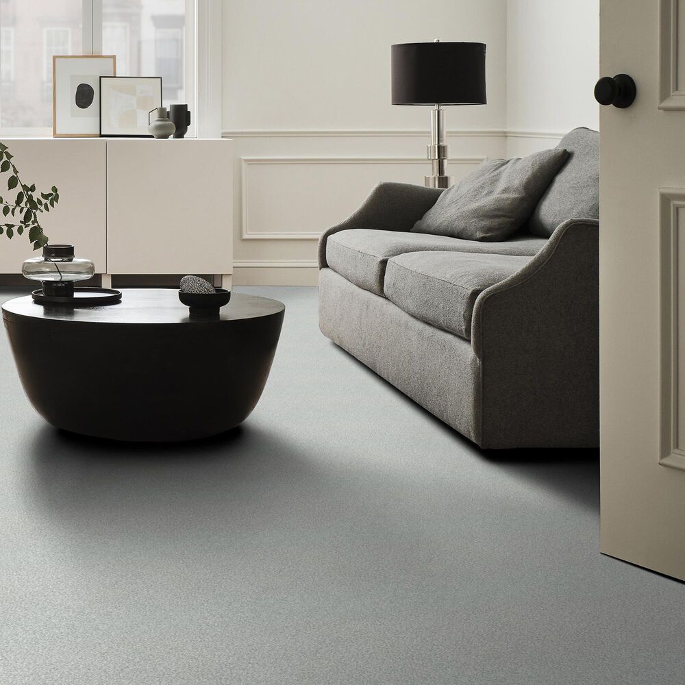 Shaw Tonal Comfort Ii Carpet in Quiet Time, , large