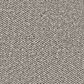 Amisco v, , large