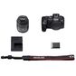 Canon EOS R8 RF24-50mm F4.5-6.3 IS STM Lens Kit Mirrorless Camera, , large