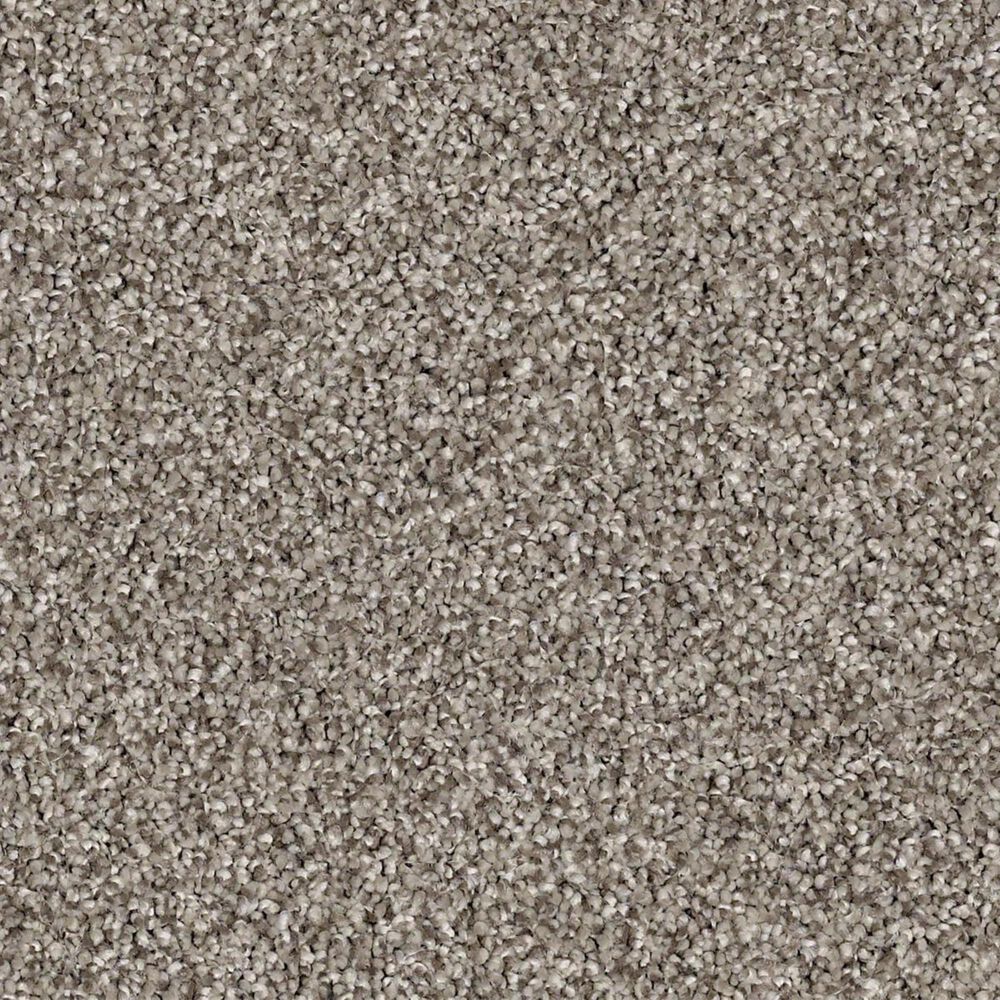Shaw Palatial Carpet in Barn Wood, , large