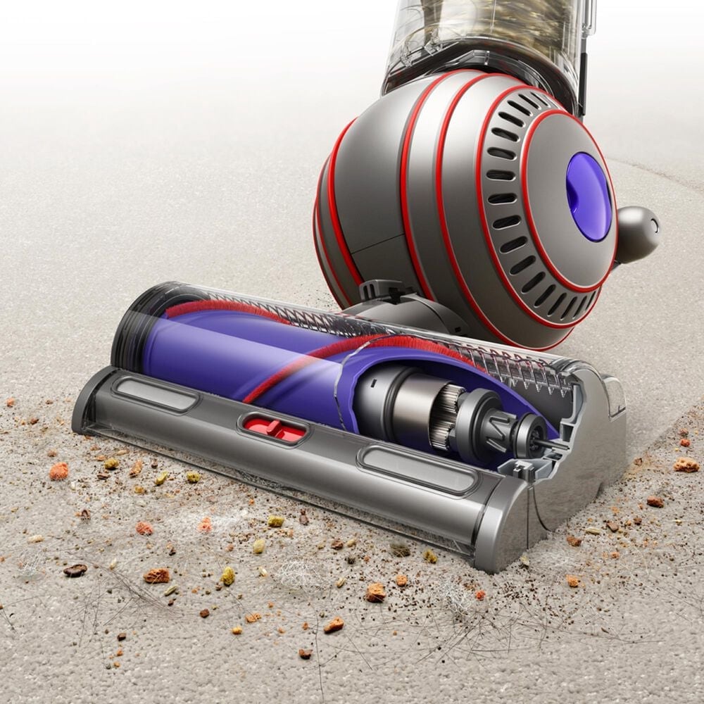 Dyson Ball Animal 3 Extra Corded Vacuum in Nickel and Silver, , large