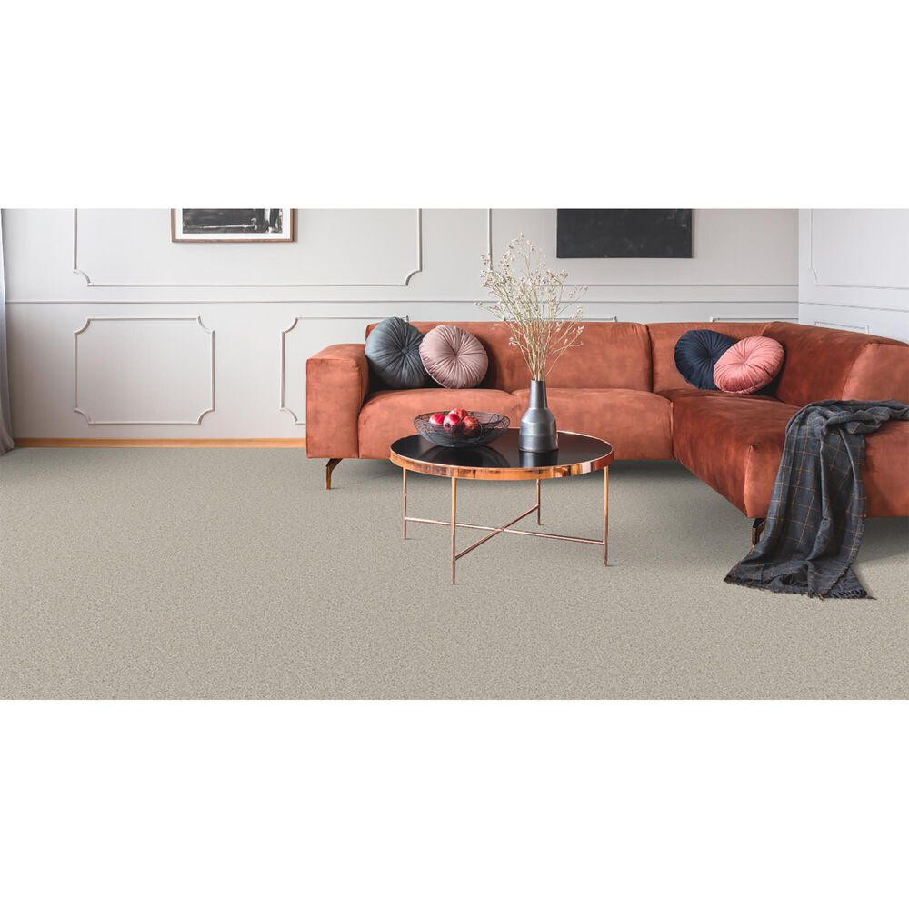 Dixie Home Winding Creek Carpet in Natural Grain, , large
