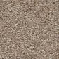 Shaw Affirmation I Carpet in Basketry, , large
