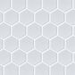 Emser Savvy White 2" Hexagon on 11" x 12" Glazed Porcelain Mosaic Sheet, , large