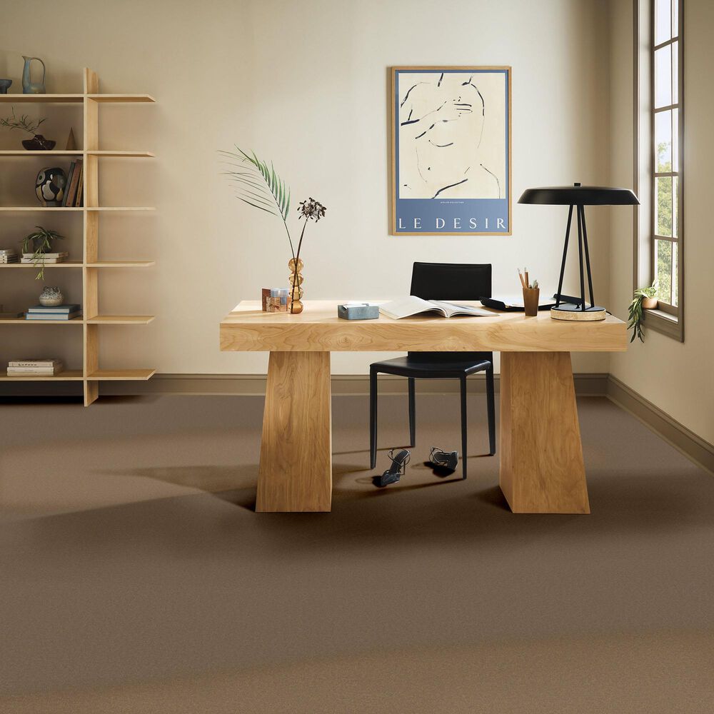 Anderson Tuftex Finery Carpet in Hawk, , large